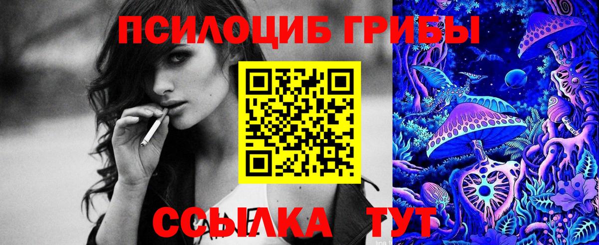 Галлюциногенные грибы Psilocybe Острогожск