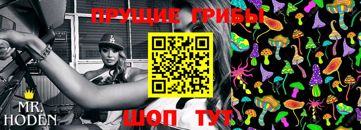 Острогожск  Галлюциногенные грибы мицелий  Вход с VPN 